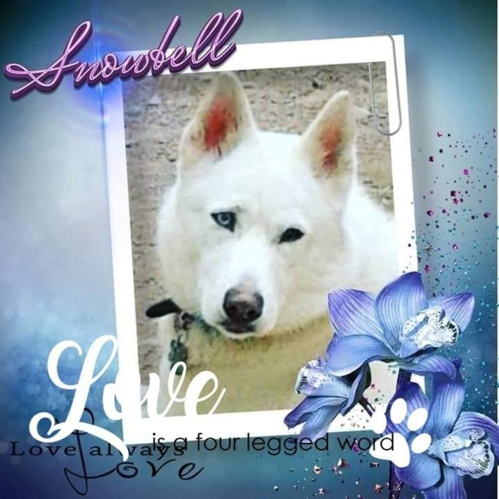 Meet your Posher, Deborah